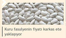 Press clipping — On the global pulses market