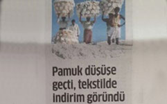 Press clipping — Press release on the cotton commodity