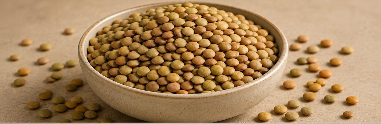 Green Lentils