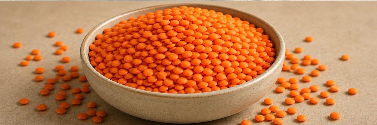 Red Lentils